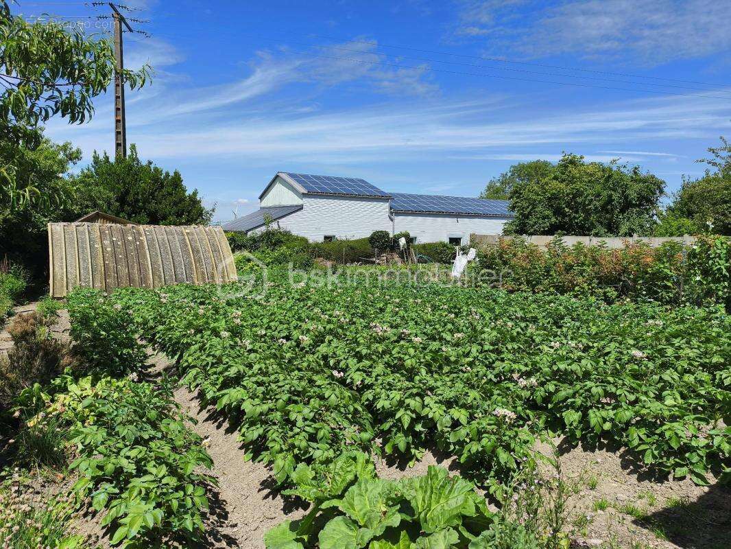 Maison familiale de 141 m2 - Dépendances - Jardin - photo 17