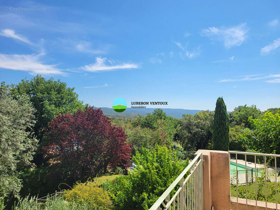 Grande maison proche Bédoin, vue, jardin et piscine - photo 6