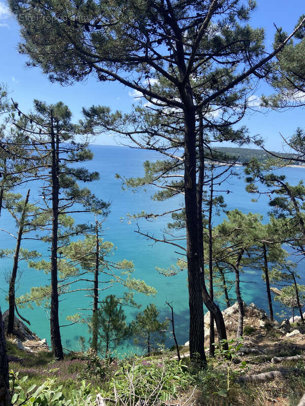 À vendre   Propriété de caractère à Saint-Hernot, Crozon   Presqu'île de Crozon - photo 17