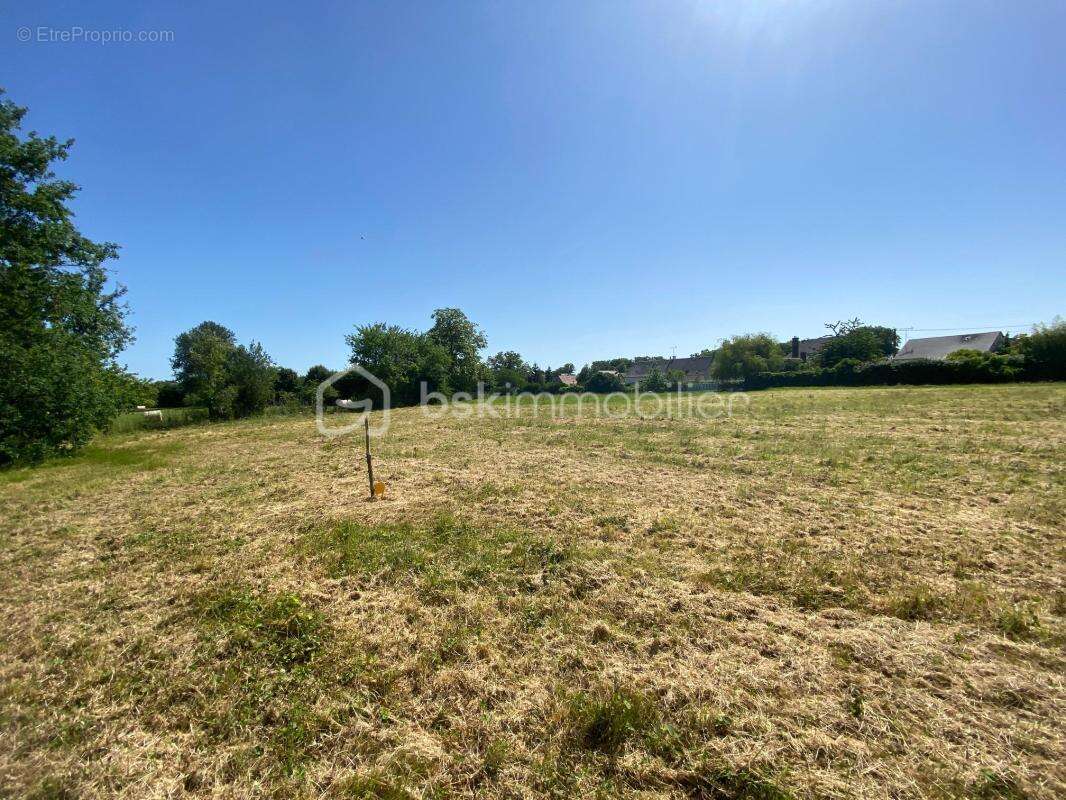 Terrain constructible 1216 m² à AUTHON ( moins de 10 min de CHATEAU-RENAULT ) - photo 7