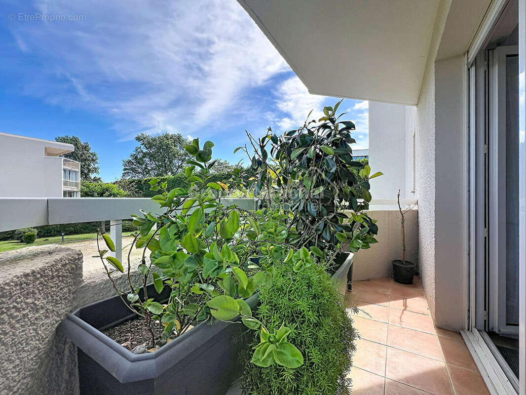 Appartement à MANDELIEU-LA-NAPOULE