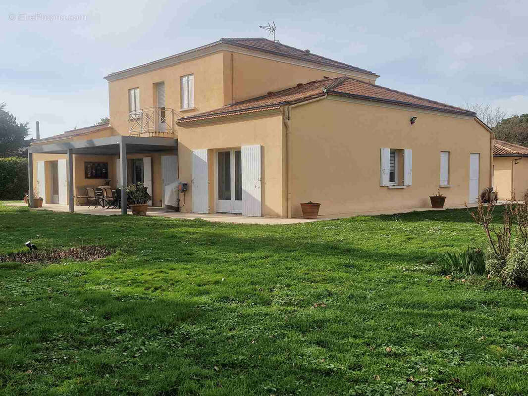 Maison d'architecte sur grand terrain avec piscine - photo 5