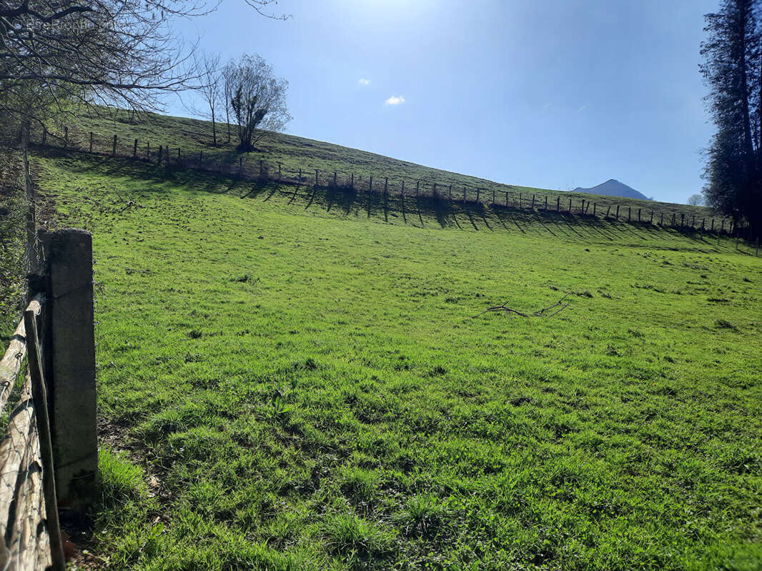 Terrain à SARE