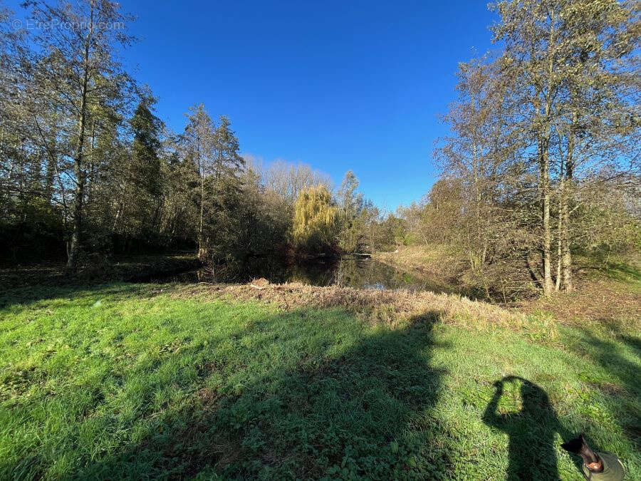 Terrain à SAINT-AMAND-LES-EAUX