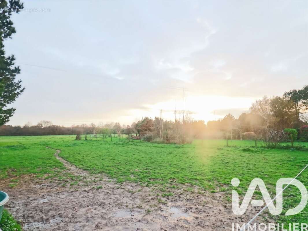 Photo 8 - Maison à SAINT-LYPHARD
