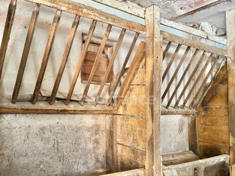 Maison de bourg de 100 m2, 3 chambres, terrain attenant de 371 m2 + 2450 m2 indépendant, 200 m2 de dépendances, caves, fibre opt - photo 20