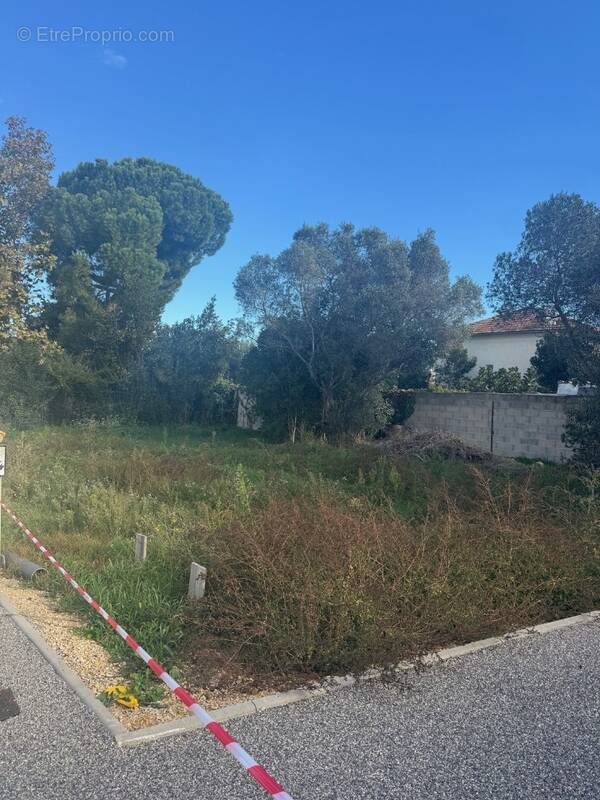 Terrain 300 m² à Istres  - photo 1