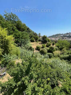 Terrain à MENTON