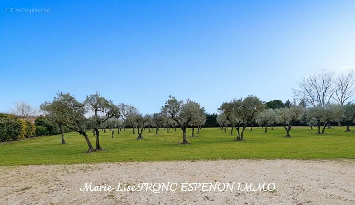 Maison 471 m² à Velleron  - photo 41