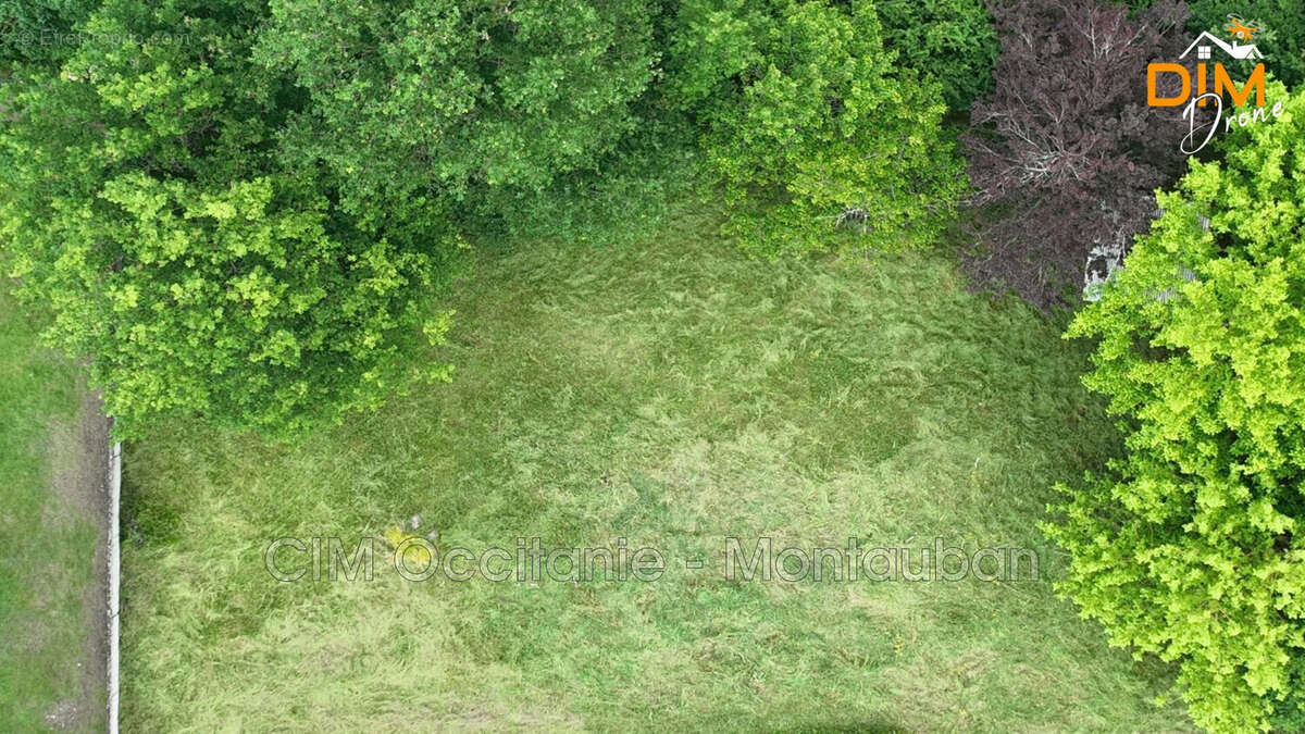 Terrain à MONTAUBAN