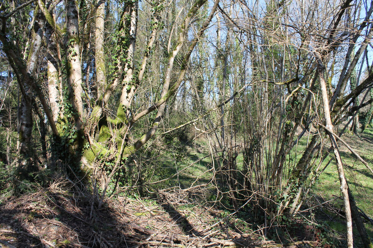 Terrain à SAINT-PRIEST-LES-FOUGERES