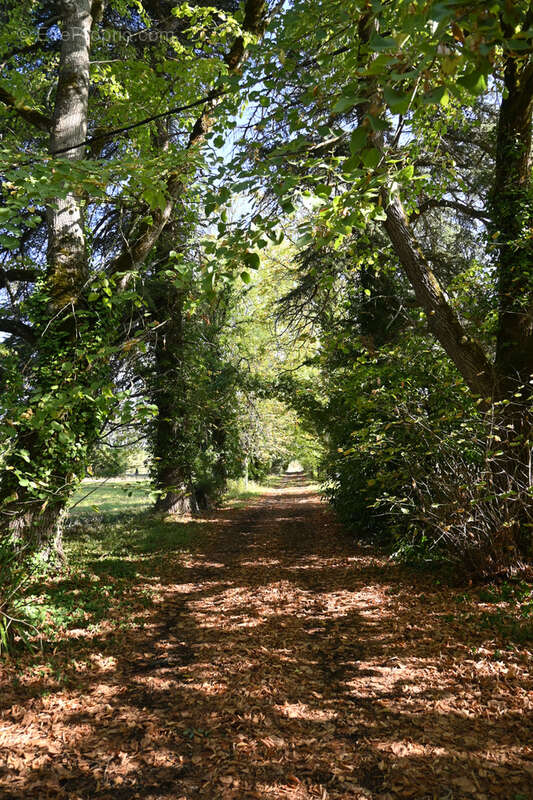 Maison à MIRAMONT-DE-GUYENNE