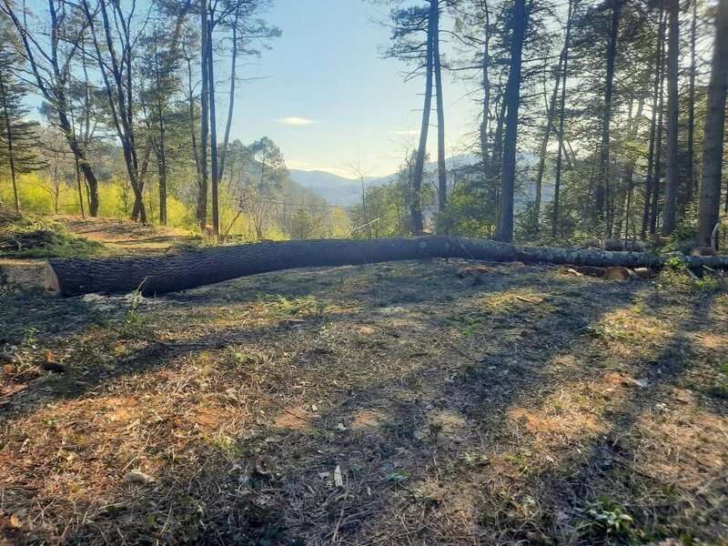 Terrain à SAINT-AMBROIX