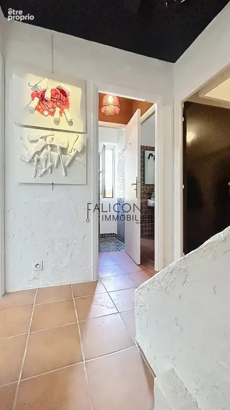 Maison de village sur Falicon - photo 11