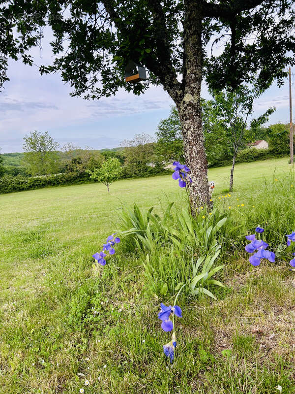 Maison à MONTAIGU-DE-QUERCY