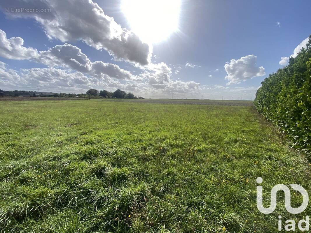 Photo 1 - Terrain à BAZOCHES-LES-GALLERANDES