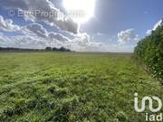 Photo 1 - Terrain à BAZOCHES-LES-GALLERANDES