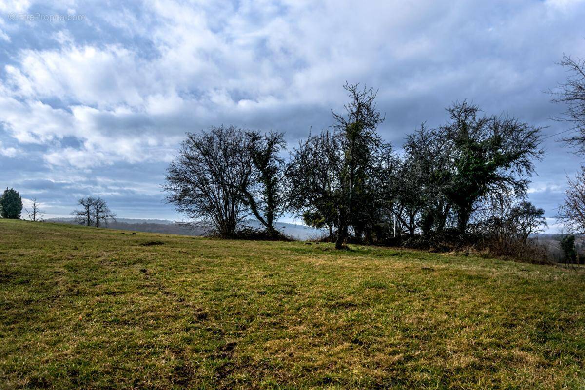 Terrain à LOMONT