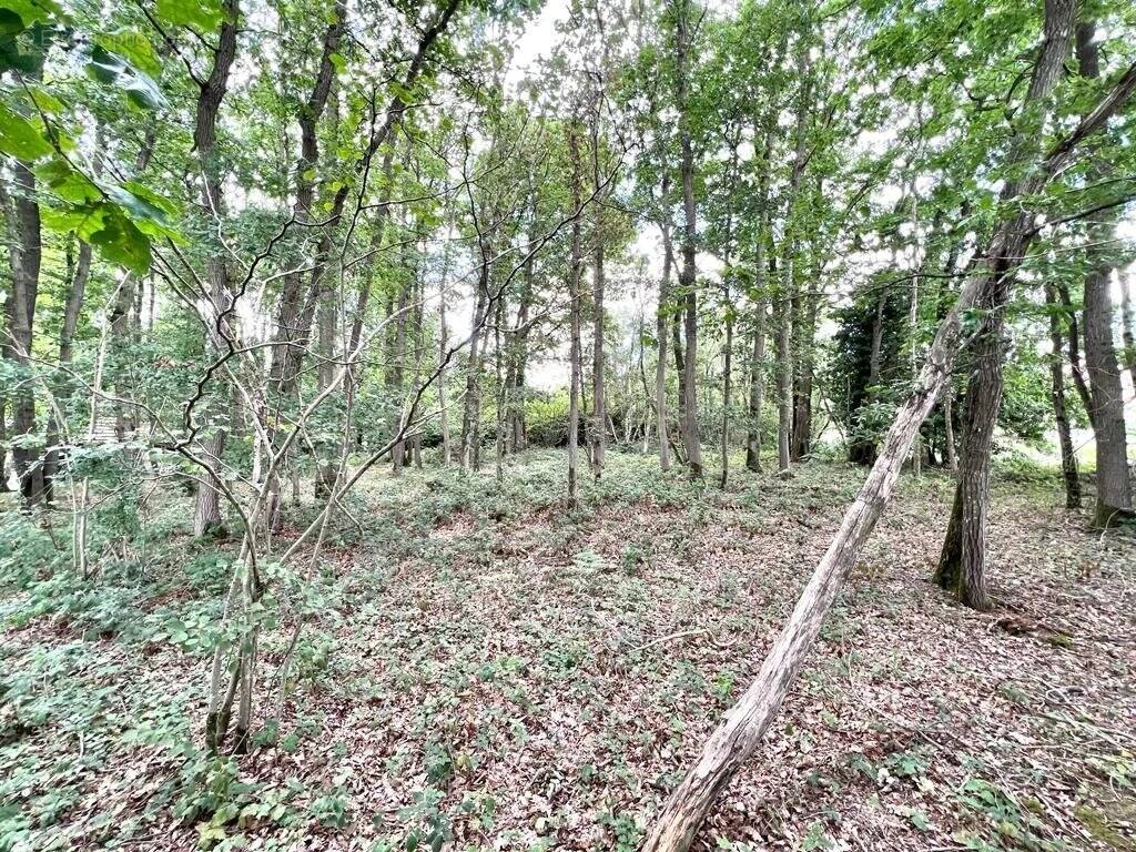 Terrain à FERRIERES-HAUT-CLOCHER