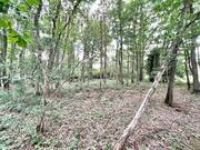 Terrain à FERRIERES-HAUT-CLOCHER