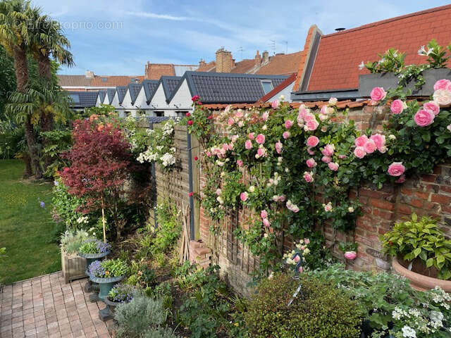 Maison à LA CHAPELLE-D&#039;ARMENTIERES