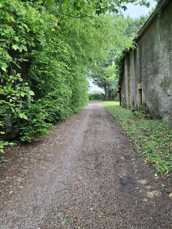À vendre longère terrain 1,8 ha St-Malo-en-Donziois - photo 34
