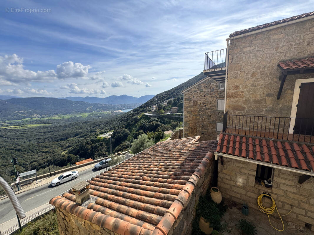 Appartement à OLMETO