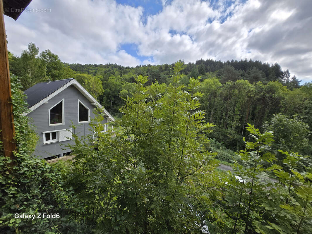 A vendre st jean du bruel - ensemble de 2 chalets sur un terrain d environ 7000 m2 - photo 2