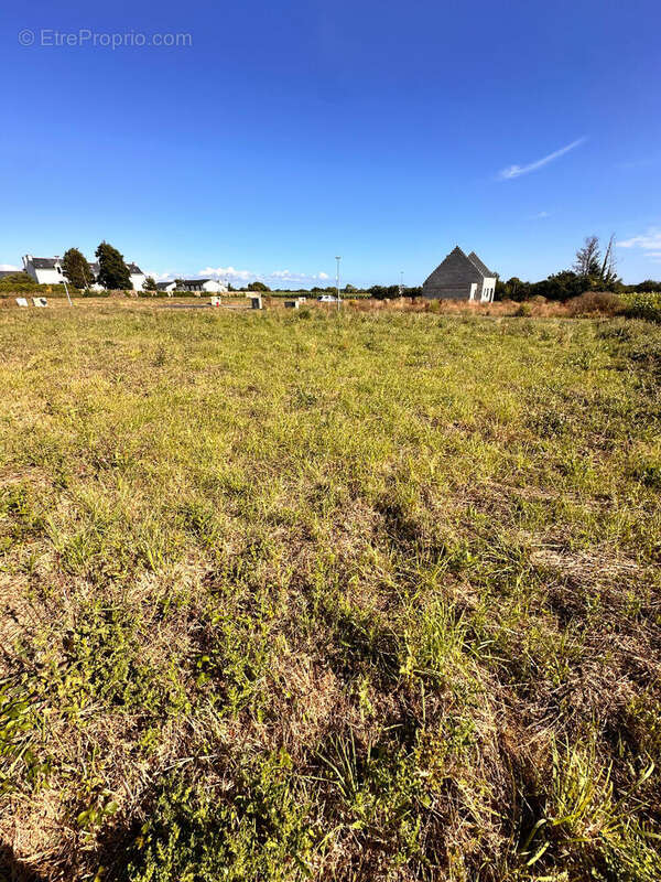 Terrain à GOULIEN