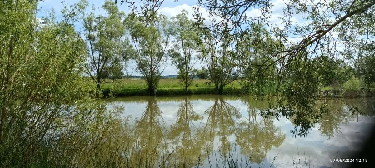 Propriété à vendre SAINT HILAIRE ( allier) comprenant une maison et un gite sur un parc de 23433 m² - photo 52