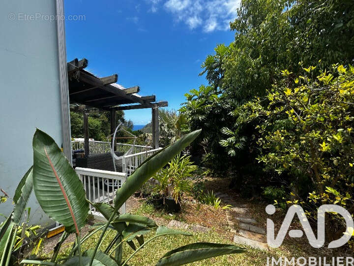 Photo 5 - Maison à SAINT-JOSEPH