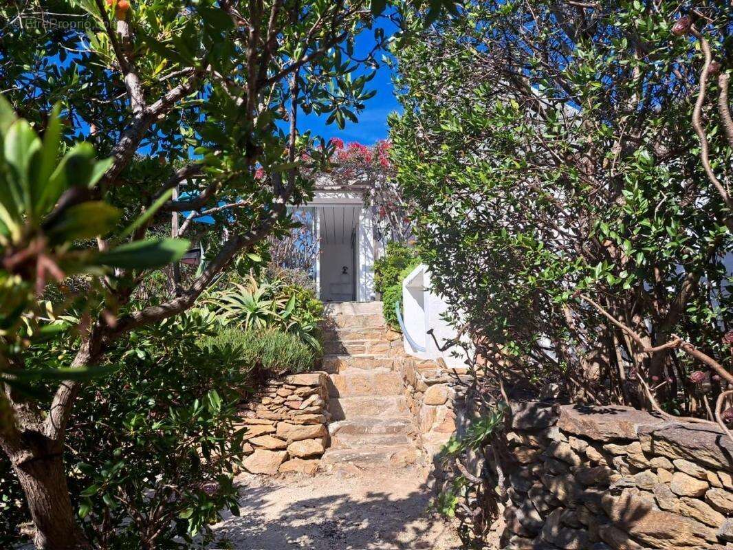 VILLA BALATA Île du Levant • Hyères Acquisition de la nue-propriété - photo 3