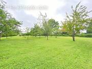 Terrain à NEUFMOUTIERS-EN-BRIE