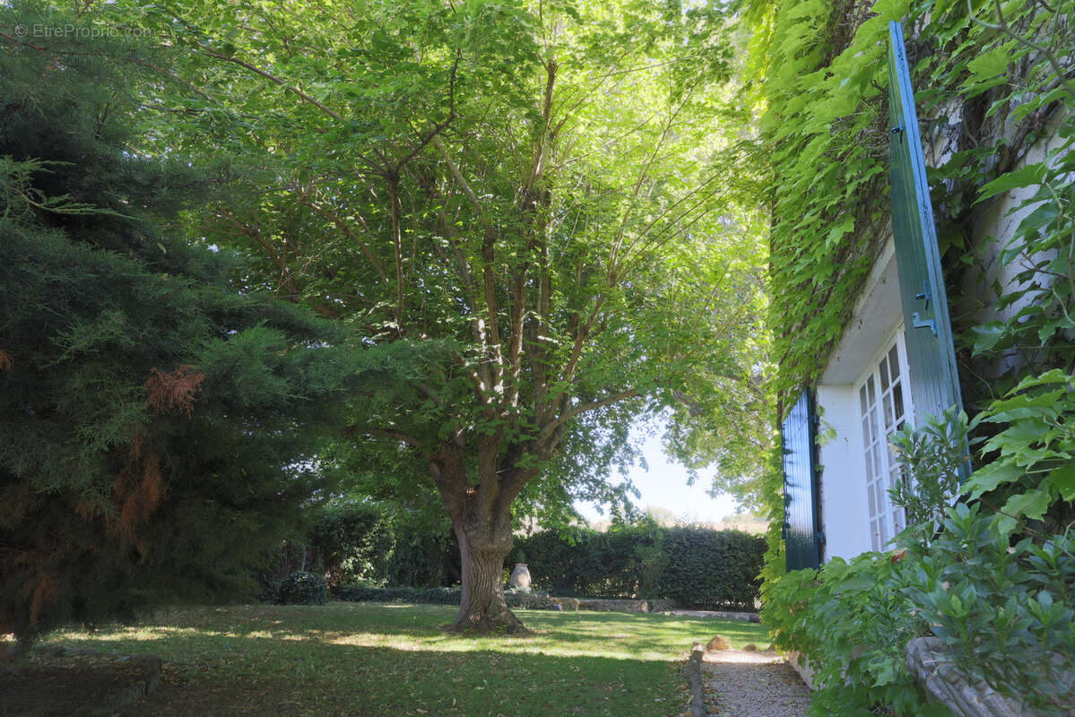 Maison à LE PUY-SAINTE-REPARADE