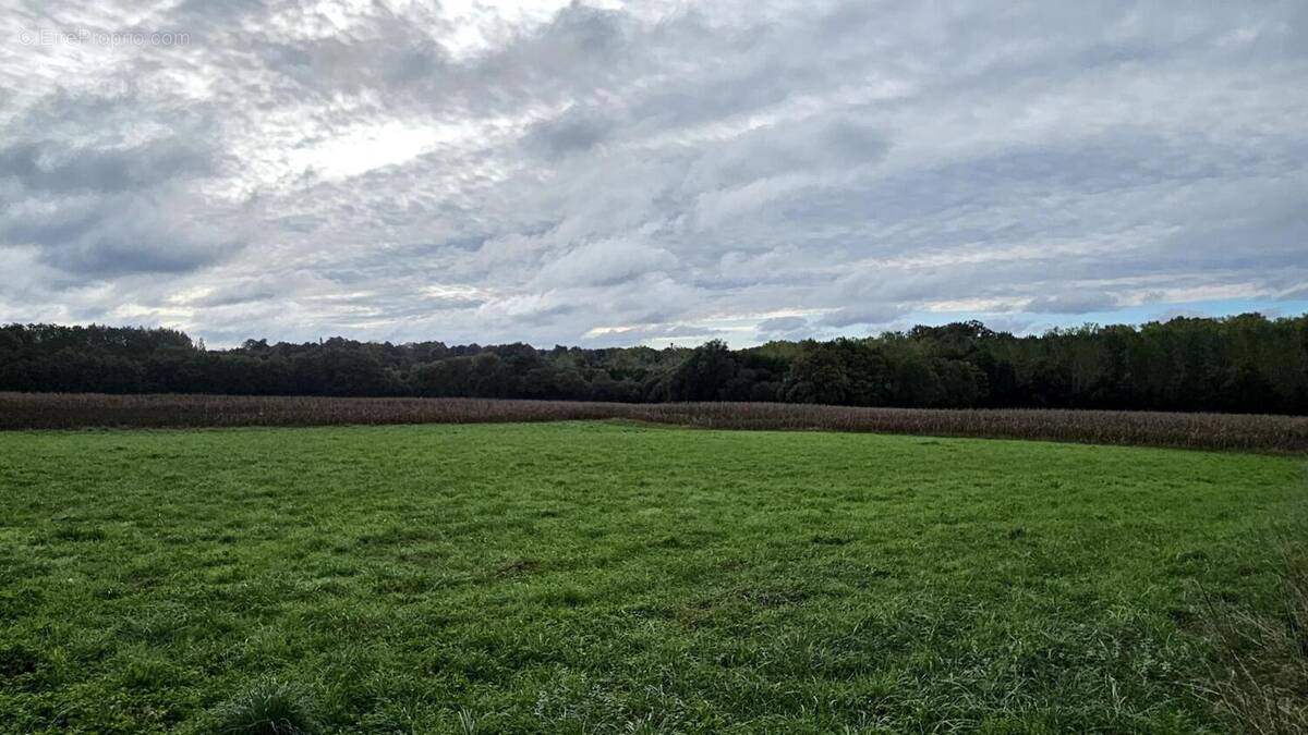 Photo 1 - Terrain à PANJAS