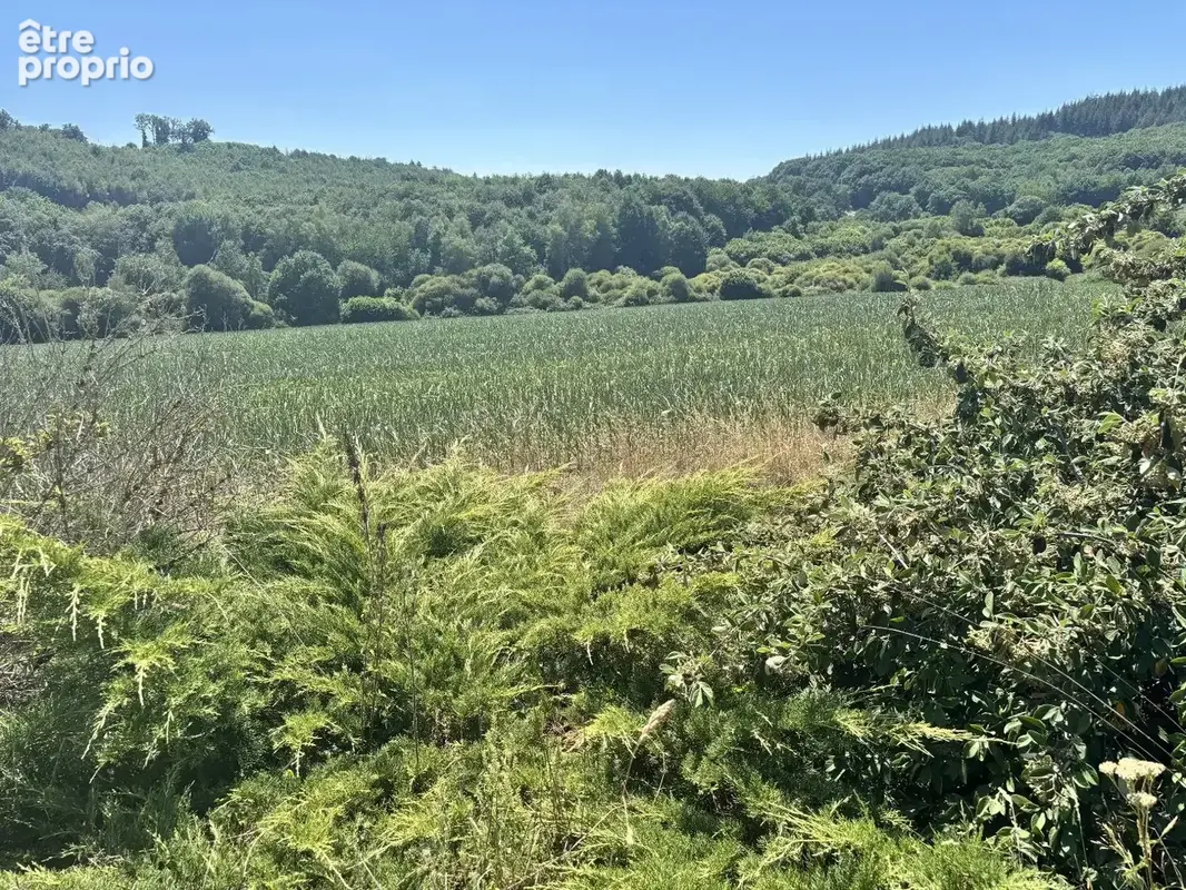Maison avec 2 chambres, jardin 4296 m2, 212 m2 habitables. - photo 7