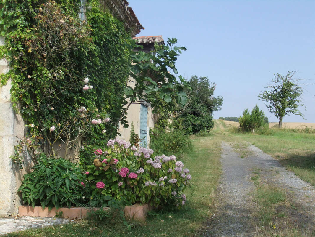 Maison à FAGET-ABBATIAL