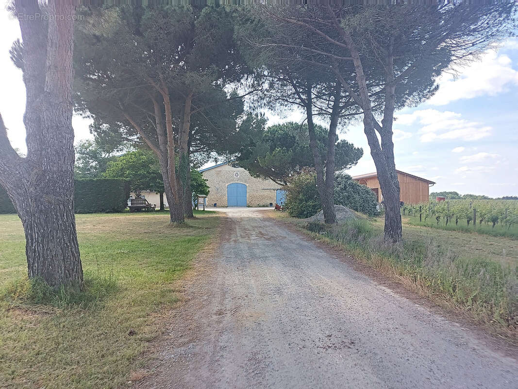 Appartement à LANGON