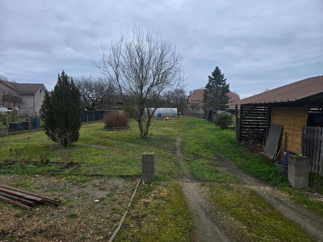 Photo 6 - Maison à EPERVANS