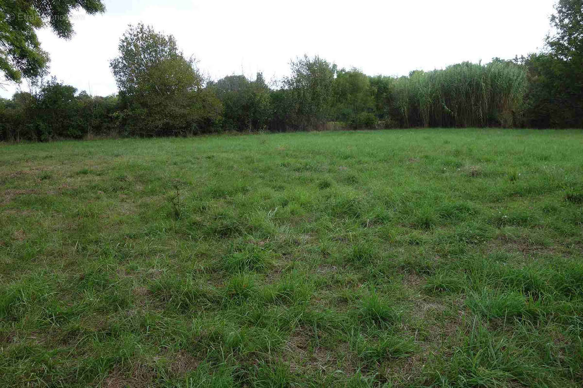 Terrain à CAMPUGNAN