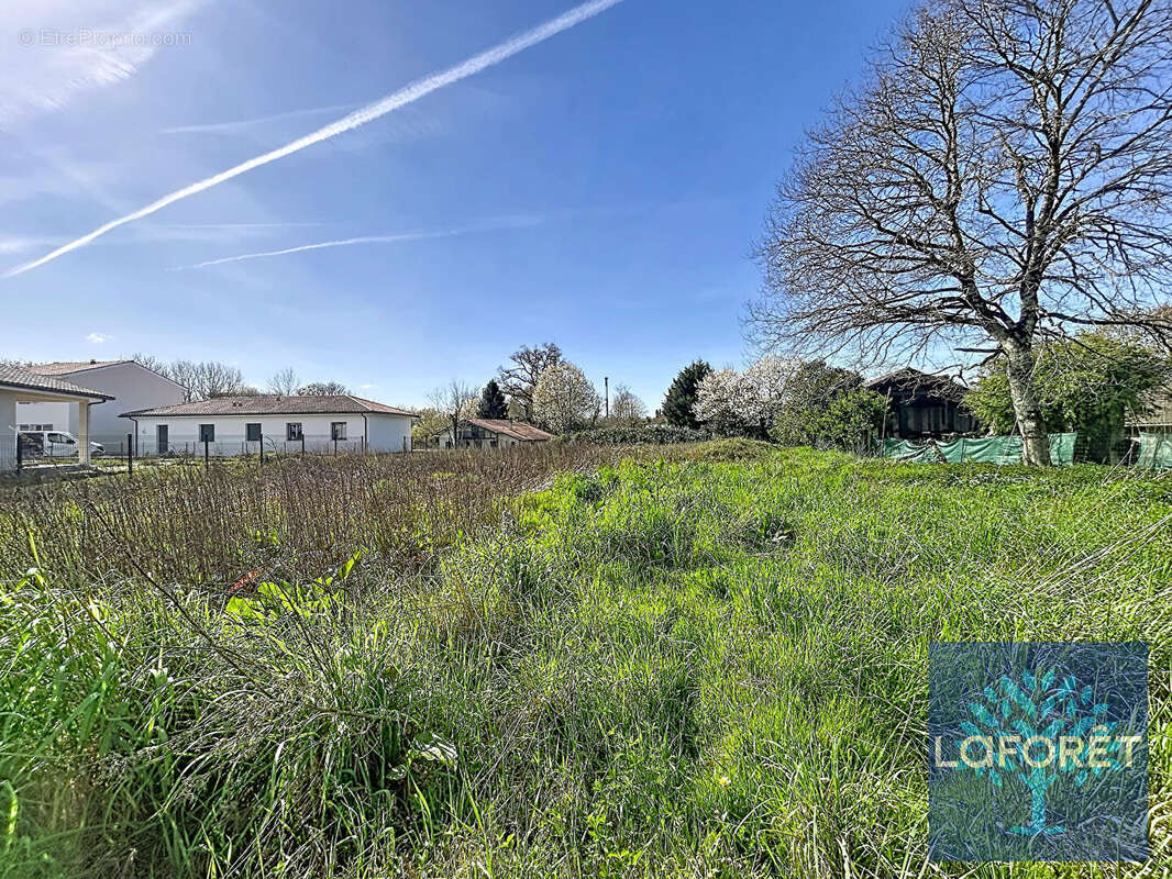 Terrain à SAUBUSSE