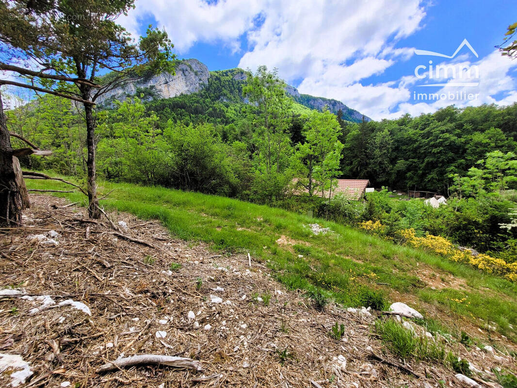 Terrain à LA CHAPELLE-EN-VERCORS