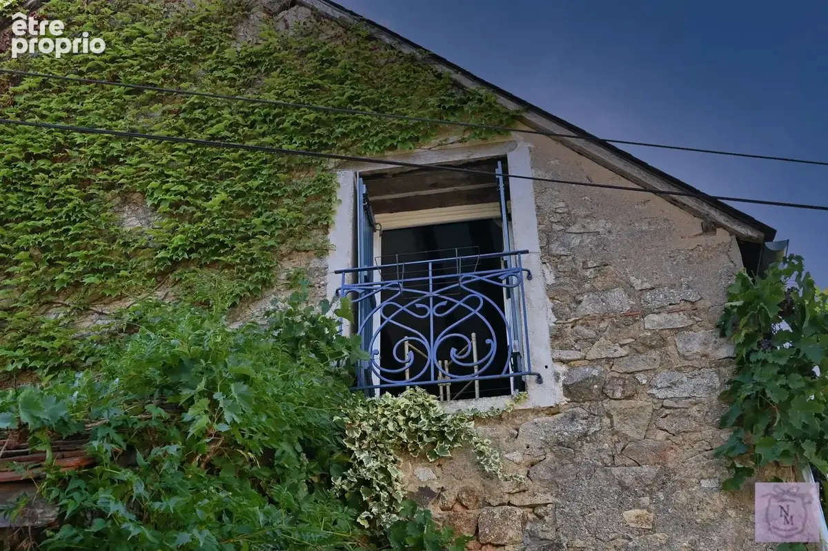 À vendre à Dun-sur-Grandry : Maison de charme avec atelier - photo 60