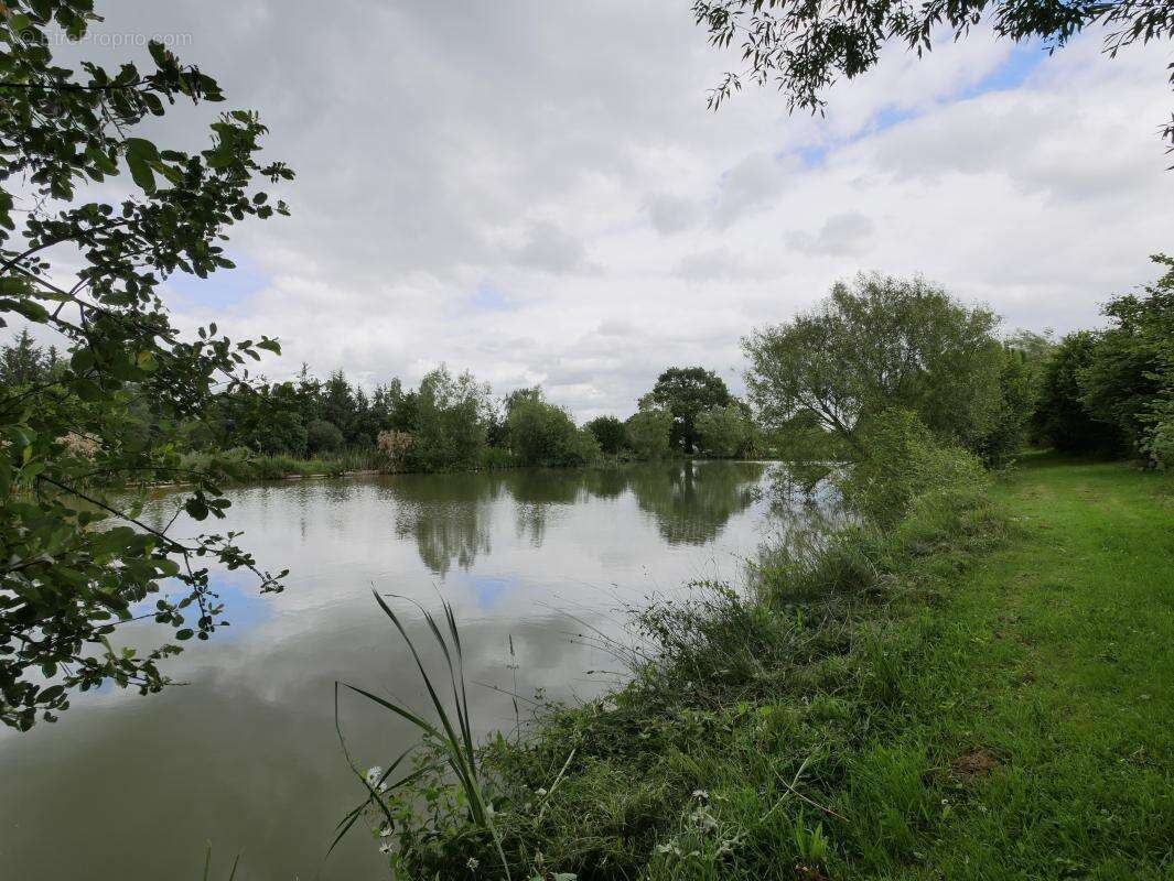 Terrain 5 062 m² à vendre à Saint-Aubin-D'aubigne (35250) - photo 9