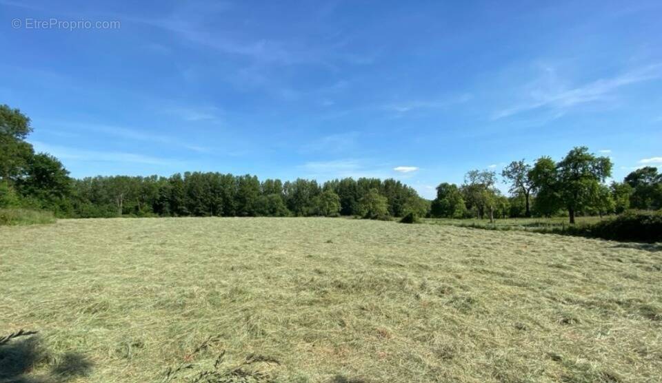 Terrain à SAINT-ANDRE-D'HEBERTOT