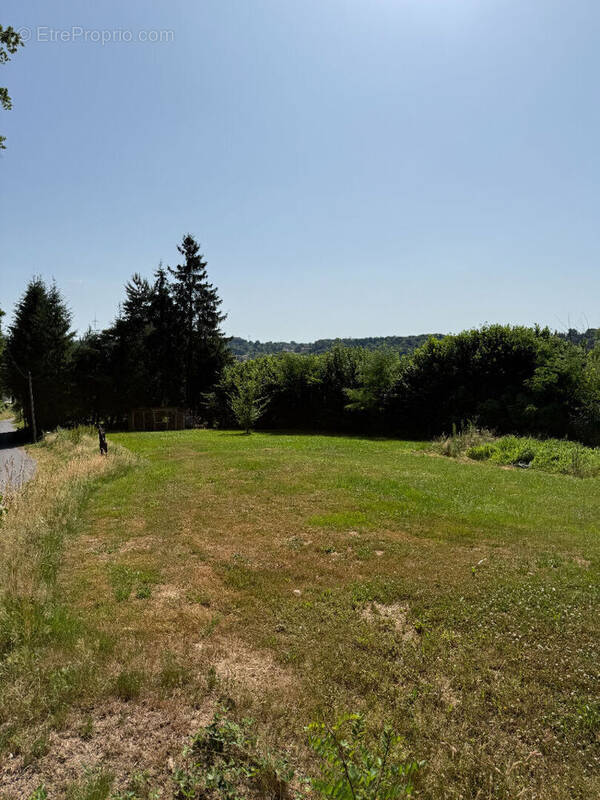 Terrain à BACCARAT