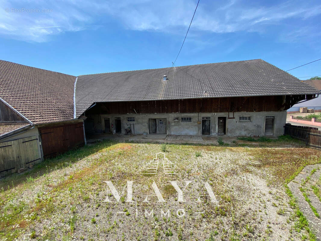 Steinbrunn-Le-Haut, Maison avec dépendance. - photo 17