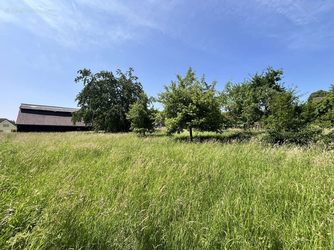 Folgensbourg au calme terrain constructible de 14,80 ares - photo 2