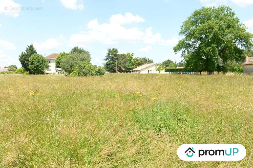 Terrain à SAINTE-LIVRADE-SUR-LOT