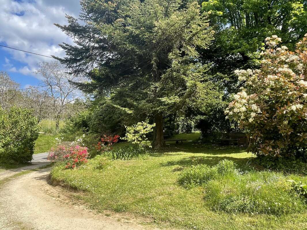 Maison à SAINT-SAUVEUR